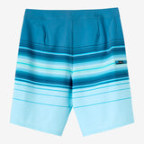 Hyperfreak Heat Stripe 21" Boardshorts