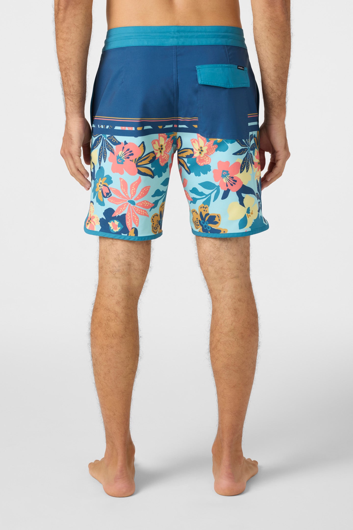 Cruzer Scallop 18
