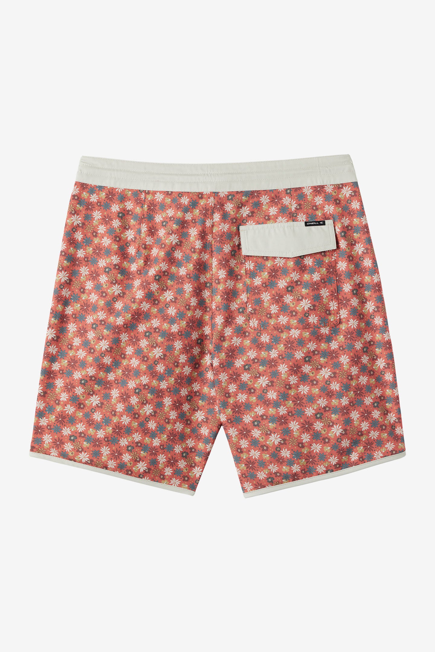シャーロット Cruzer Scallop 18