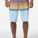 Lennox Stripe 21" Boardshorts