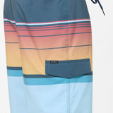 Lennox Stripe 21" Boardshorts