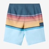 Lennox Stripe 21" Boardshorts