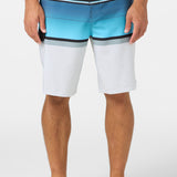 Lennox Stripe 21" Boardshorts