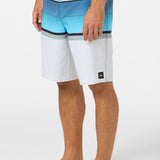 Lennox Stripe 21" Boardshorts