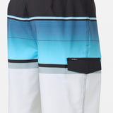 Lennox Stripe 21" Boardshorts