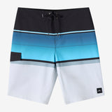 Lennox Stripe 21" Boardshorts