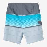 Lennox Stripe 21" Boardshorts