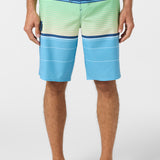 Lennox Stripe 21" Boardshorts