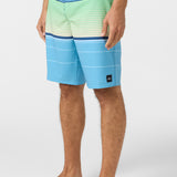 Lennox Stripe 21" Boardshorts