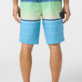 Lennox Stripe 21" Boardshorts