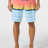 Lennox Stripe 21" Boardshorts