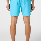 Lennox Hermosa Solid 17" Swim Trunks