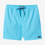 Lennox Hermosa Solid 17" Swim Trunks