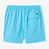 Lennox Hermosa Solid 17" Swim Trunks