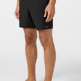 Lennox Hermosa Solid Volley 17" Swim Trunks