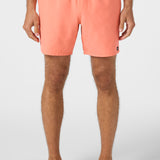 Lennox Hermosa Solid 17" Swim Trunks