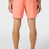 Lennox Hermosa Solid 17" Swim Trunks