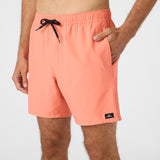 Lennox Hermosa Solid 17" Swim Trunks