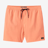 Lennox Hermosa Solid 17" Swim Trunks