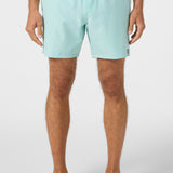 Lennox Hermosa Solid 17" Swim Trunks