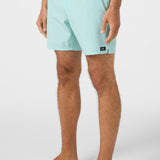 Lennox Hermosa Solid 17" Swim Trunks
