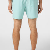 Lennox Hermosa Solid 17" Swim Trunks