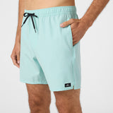 Lennox Hermosa Solid 17" Swim Trunks