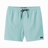Lennox Hermosa Solid 17" Swim Trunks