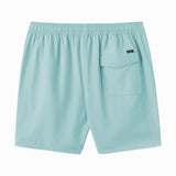 Lennox Hermosa Solid 17" Swim Trunks
