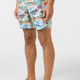 Hermosa Elastic Waist Lined 17" Swim Trunks