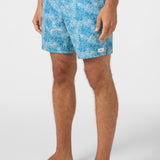 Hermosa E-Waist 17" Lined Swim Trunks
