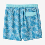 Hermosa E-Waist 17" Lined Swim Trunks