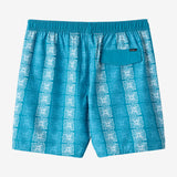 Hermosa E-Waist 17" Swim Trunks