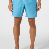 Hermosa Side Panel 17" Swim Trunks