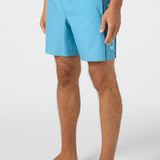 Hermosa Side Panel 17" Swim Trunks