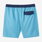 Hermosa Side Panel 17" Swim Trunks