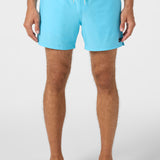 Hermosa Light Lined 15" Swim Trunks
