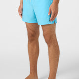 Hermosa Light Lined 15" Swim Trunks
