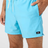 Hermosa Light Lined 15" Swim Trunks