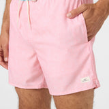 Hermosa Light Lined 15" Swim Trunks
