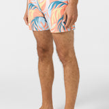 Hermosa Light Lined Volley 15" Swim Trunks