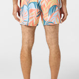 Hermosa Light Lined Volley 15" Swim Trunks
