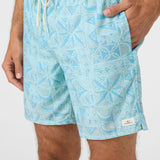 Hermosa Light Lined 17" Swim Trunks