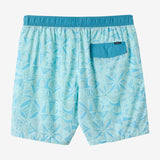 Hermosa Light Lined 17" Swim Trunks
