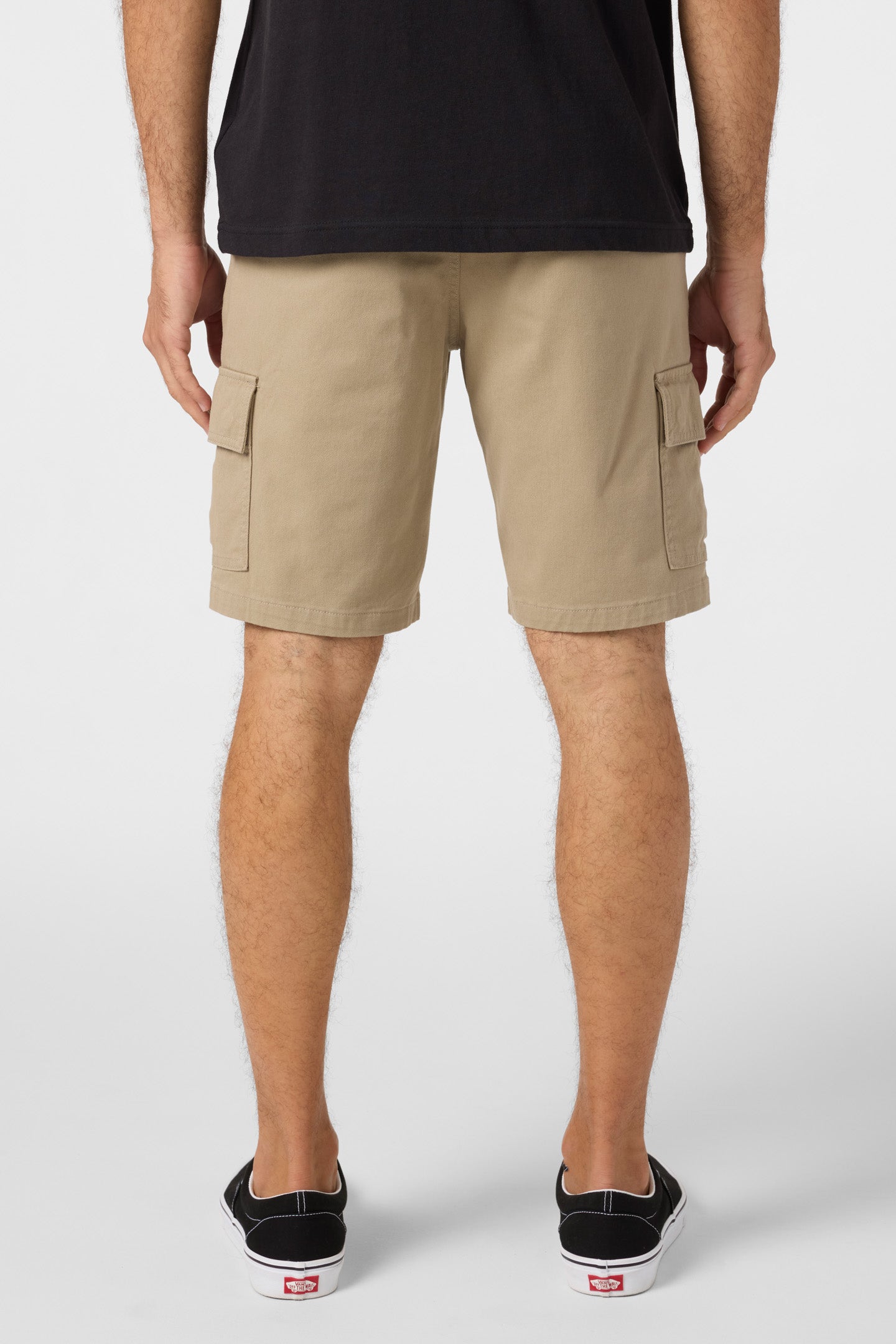 TRAILS 20" CARGO SHORTS