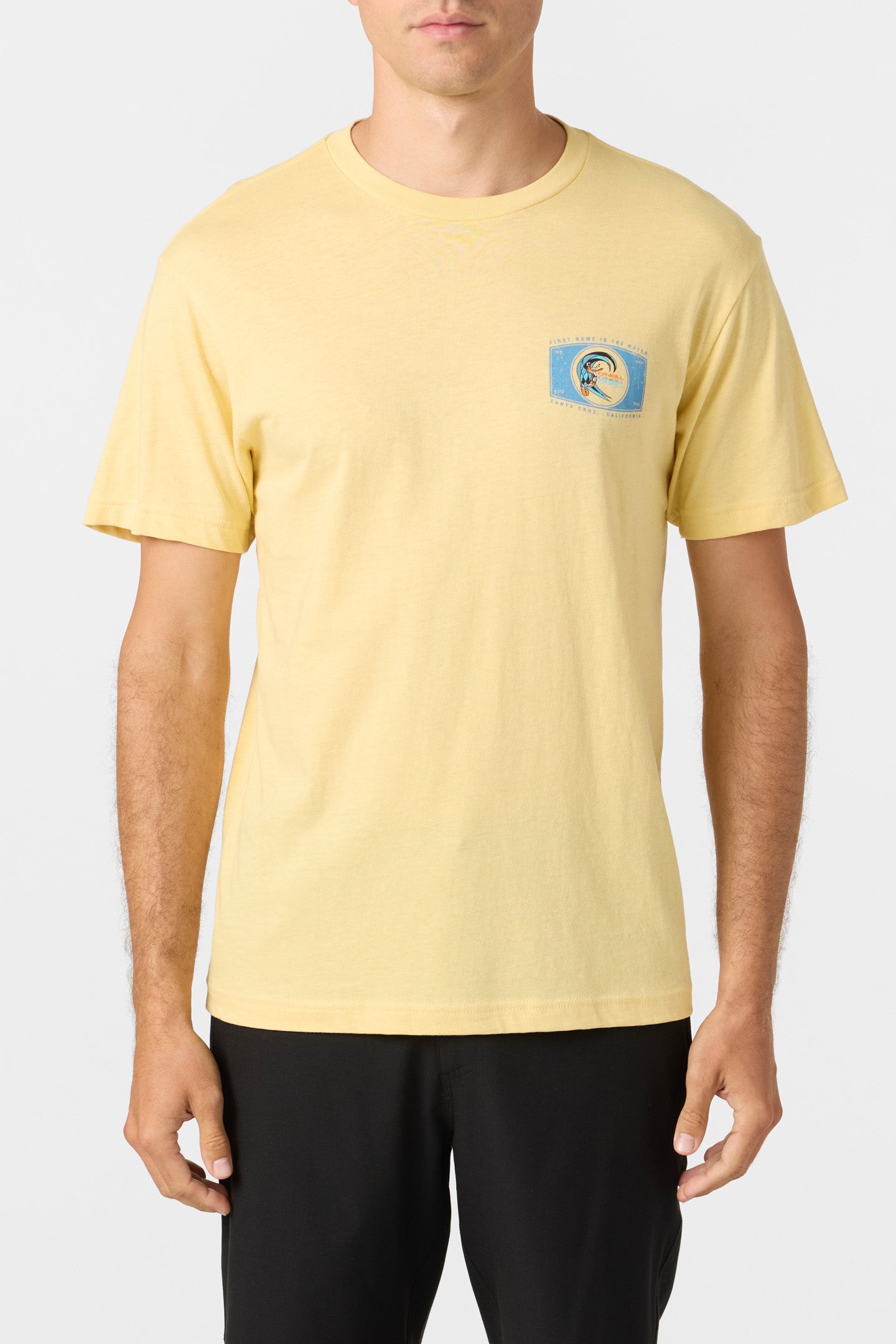 Forever Standard Fit Tee - Lemon Grass | O'Neill