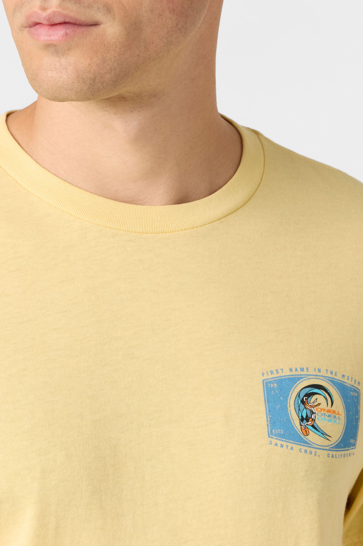 Forever Standard Fit Tee - Lemon Grass | O'Neill