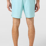 Perform Light Lined Elastic Waist 17" Hybrid Shorts