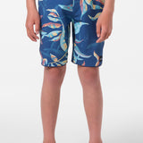 Boy's Hyperfreak Mysto Scallop 17" Boardshorts