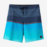 Boy's Hyperfreak Heat Block 17" Boardshorts